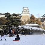 雪が積もった芝生でそり遊びをする子どもら＝明石公園