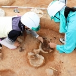 竪穴住居跡で進められた発掘作業＝明石市東野町（明石市提供）