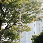 子午線を示す「トンボの標識」と写真に納まる松本さん。宇宙に関心を持つきっかけになった（天文科学館提供）