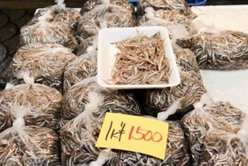 ９日昼前には、１キロ１５００円で販売する店もあった＝明石市本町１