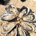 今春初出荷となった明石牡蠣（シェルフィッシュ明石提供）