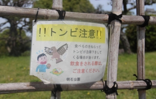 飲食をする際、トビに注意するよう呼びかける掲示物＝県立明石公園