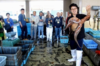 海で取れた大きなマダコに見入る豊洲市場の関係者ら＝明石市岬町