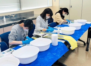 あらいぐま明石の活動風景。参加者数が減少している＝明石市内（あらいぐま明石提供）