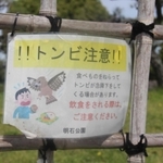飲食をする際、トビに注意するよう呼びかける掲示物＝県立明石公園