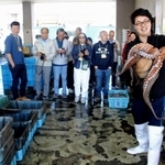 海で取れた大きなマダコに見入る豊洲市場の関係者ら＝明石市岬町