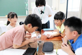 明石北高生（奥）の出前授業でクビアカツヤカミキリの標本を観察する児童＝高丘東小学校