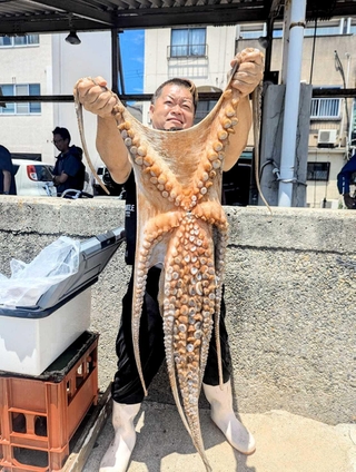 釣り上げられた巨大な明石ダコ＝明石港（海蓮丸提供）
