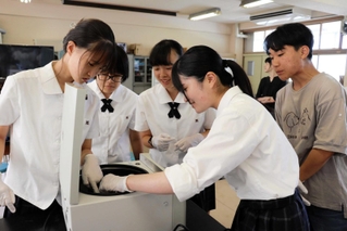 実験でサンプルを遠心分離機に入れる生徒ら＝明石北高校