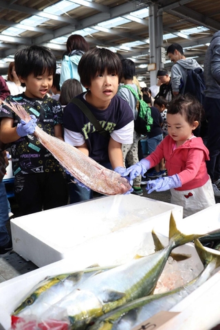 締めた魚を触る子どもたち＝明石市公設地方卸売市場