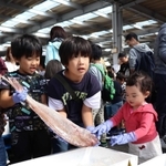 締めた魚を触る子どもたち＝明石市公設地方卸売市場