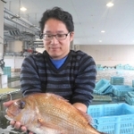 旬を迎え、赤く色づいた紅葉鯛＝明石浦漁協