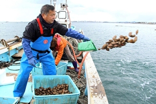 スダレ貝を放流する江井ケ島漁業協同組合の組合員ら＝江井ケ島漁港沖