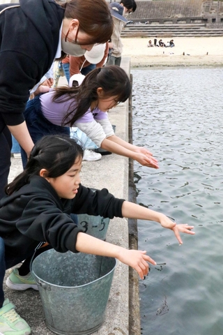 稚魚を手ですくって海へ放流する児童＝江井島海岸