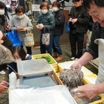 漁の最終日も鮮魚店にはイカナゴを買い求める客の列ができた＝明石市本町１