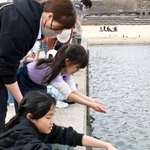 稚魚を手ですくって海へ放流する児童＝江井島海岸