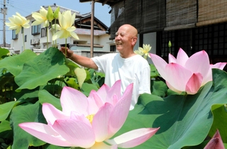 井上安邦前住職が丹精したハスが彩る境内＝明石市二見町東二見
