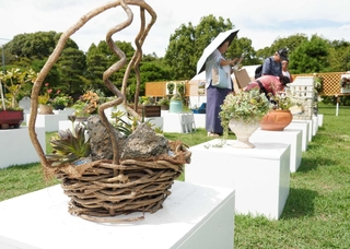 鉢にもこだわった寄せ植えが並ぶ会場＝県立明石公園