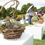 鉢にもこだわった寄せ植えが並ぶ会場＝県立明石公園