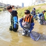 網を手にアカミミガメを探す参加者ら＝明石市魚住町清水