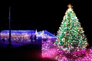 イルミネーションで彩られた大蔵海岸公園＝明石市大蔵海岸通１