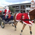 あわてんぼうのサンタさん、馬車でプレゼントお届け　明石のこども園でクリスマス会