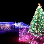 明石の冬にきらめき　心躍るイルミネーション　大蔵海岸や西新町駅周辺