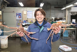 人気食材の鳥取県産の松葉ガニ＝明石市公設地方卸売市場