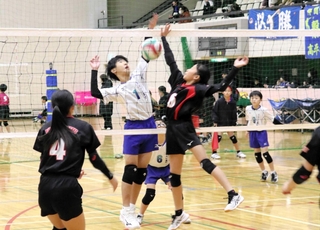 ２４回目となった「ペガサス祭」でプレーするペガサス明石のメンバーら＝明石市大久保町松陰