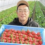 清水いちごをＰＲする橋本竜介さん＝明石市魚住町清水
