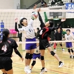 ２４回目となった「ペガサス祭」でプレーするペガサス明石のメンバーら＝明石市大久保町松陰