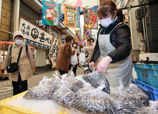 魚の棚商店街の鮮魚店に並ぶシンコ＝明石市本町１、藤永（撮影・鈴木雅之）