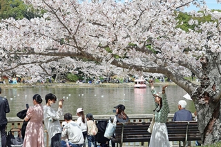 剛ノ池周辺では撮影を楽しむ姿が多く見られた＝県立明石公園（撮影・森　信弘）