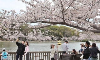 多くの人でにぎわう剛ノ池周辺＝県立明石公園