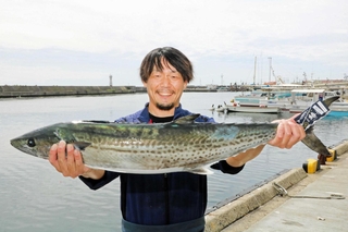 一本釣りサワラをＰＲする宮﨑鉄平さん＝明石浦漁港