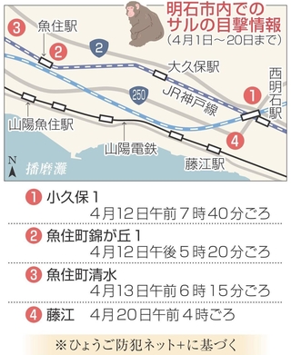 明石市内でのサルの目撃情報