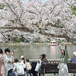 剛ノ池周辺では撮影を楽しむ姿が多く見られた＝県立明石公園（撮影・森　信弘）
