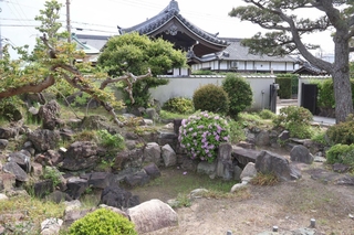 宮本武蔵作庭と伝わる円珠院の枯れ山水＝明石市大観町
