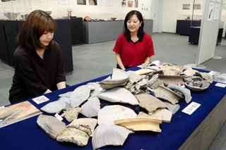 灰原から見つかった須恵器の破片の一部＝魚住文化財収蔵庫