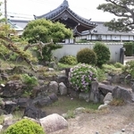 宮本武蔵作庭と伝わる円珠院の枯れ山水＝明石市大観町