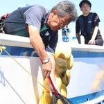 傷つかないようにゆっくりと放流されるイカナゴ＝鹿ノ瀬