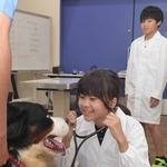 聴診器を使い犬の心音を聴く児童＝明石市大久保町大窪