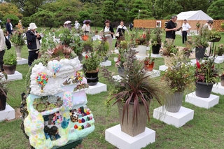 園芸愛好家が丹精した寄せ植えが並ぶ会場＝県立明石公園