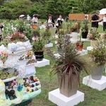 園芸愛好家が丹精した寄せ植えが並ぶ会場＝県立明石公園