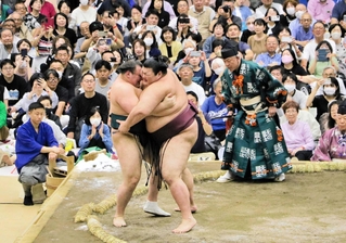 安青錦（左）と熱海富士の熱戦を見守る会場＝明石市大久保町松陰