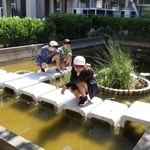 新たにＵ字溝や中島が整備された中庭の池＝清水小学校