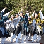 息の合った踊りで観客を魅了したステージ＝県立明石公園