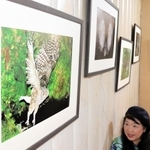 会場には、旅先で出会った動物の写真が数多く展示されている＝尼崎市東難波町５ 