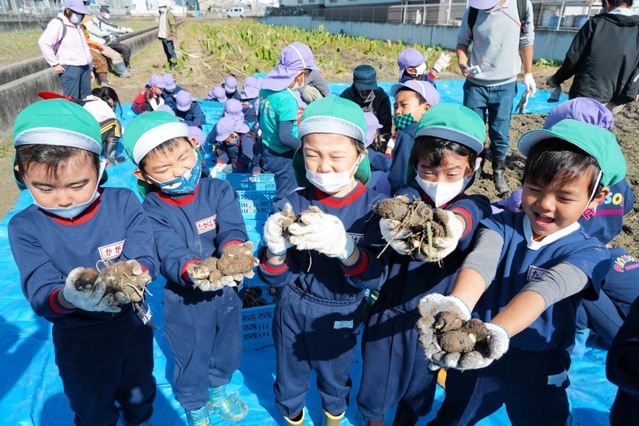 「田能の里芋」の収穫作業を手伝った園児たち＝尼崎市田能６