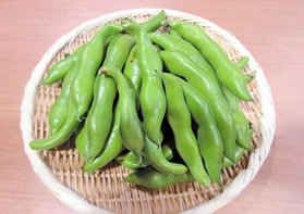 尼崎市内の子ども食堂に提供された武庫一寸ソラマメ（尼崎の森中央緑地提供）